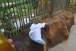 resIMG_20120709_2144.JPG